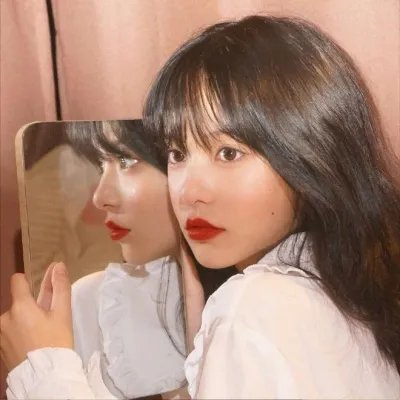 菊石