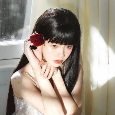 达芬奇的一生