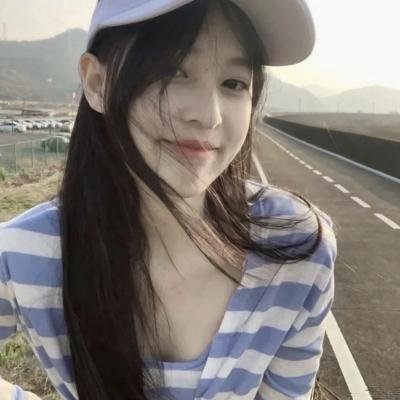没人瞭波斯猫